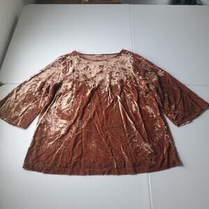 J.Jill Blouse Womens XL Brown Velvet Embroidered Scoop Neck Tunic Top Boho